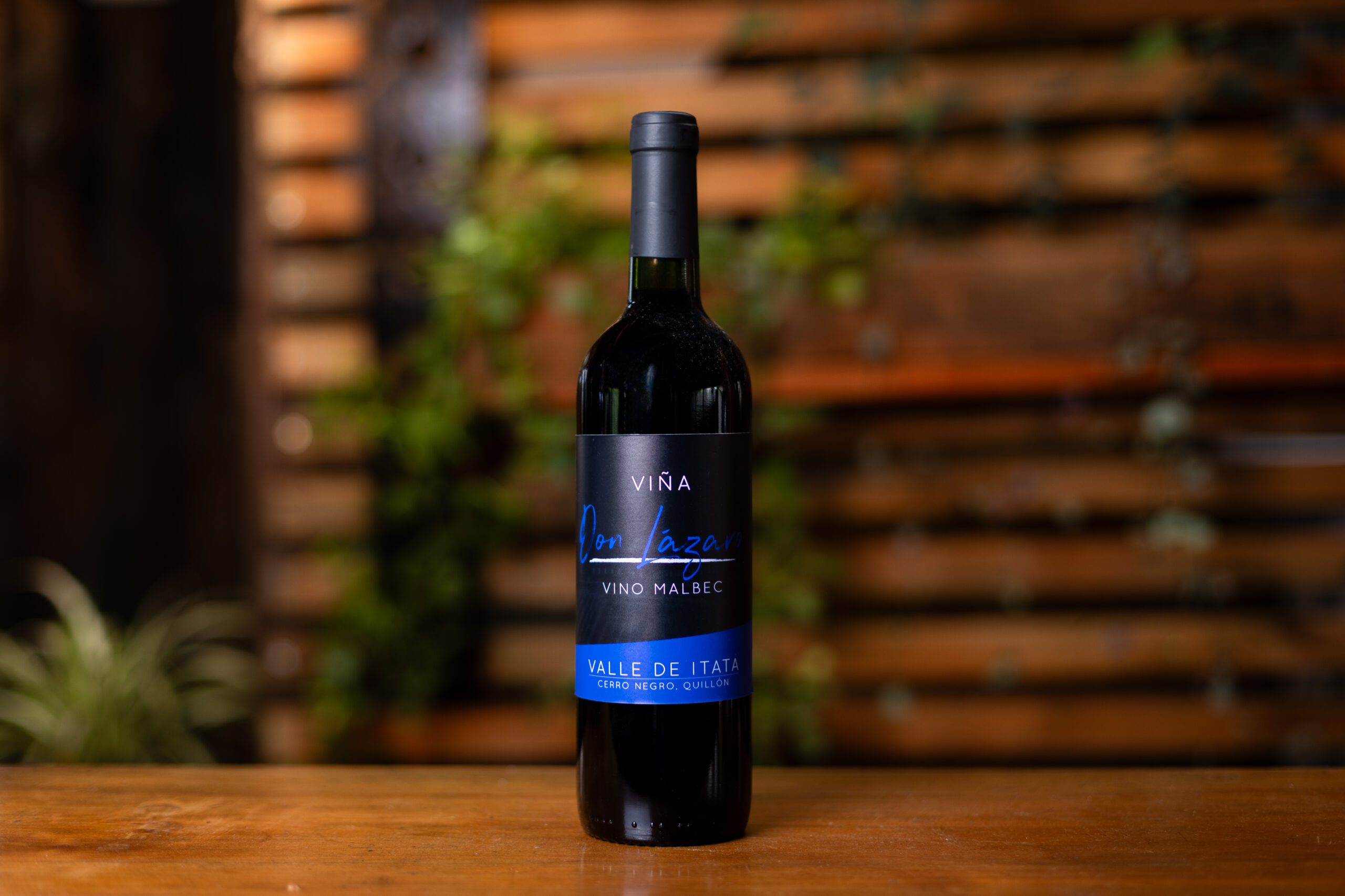 Viña Don Lázaro