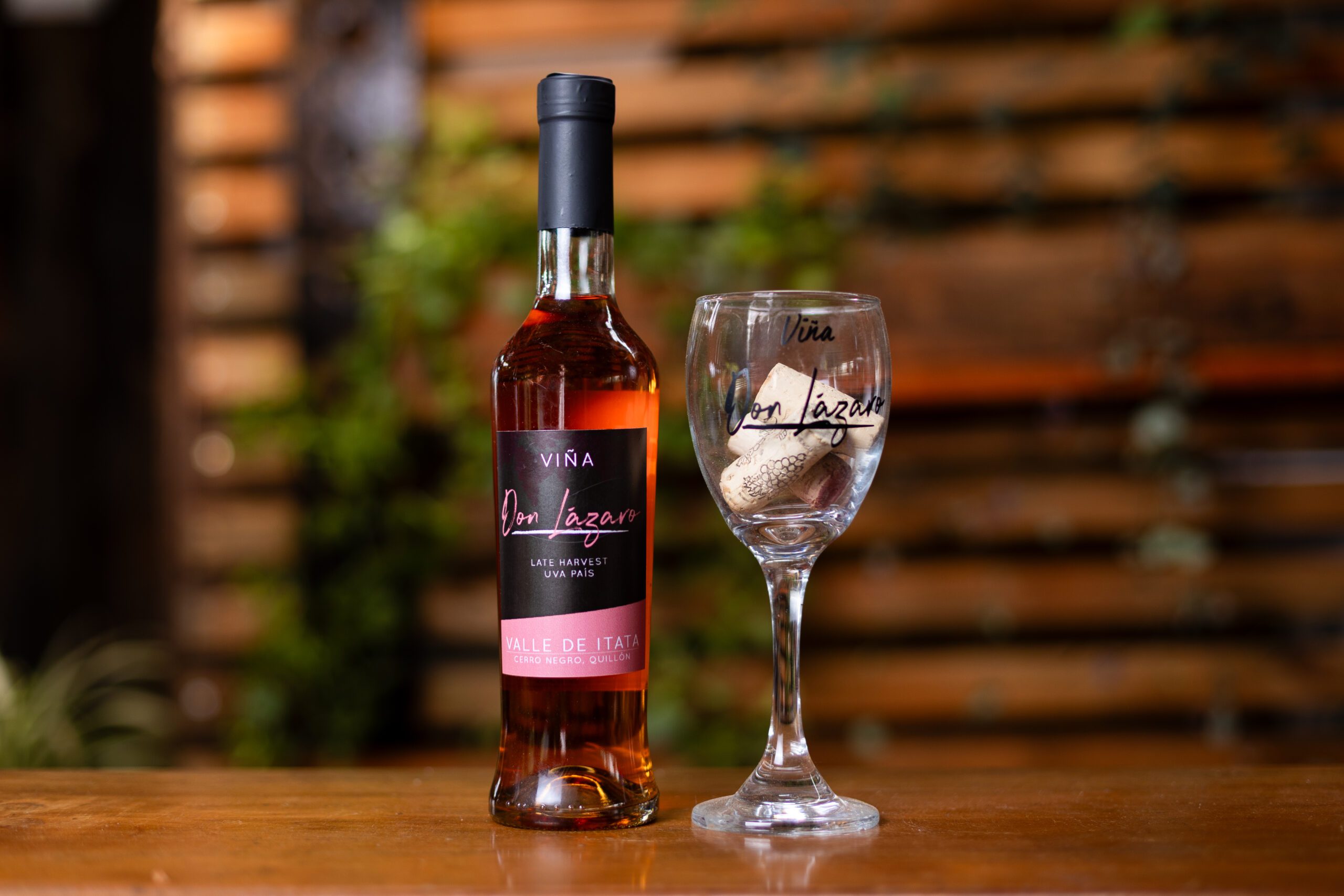 Viña Don Lázaro
