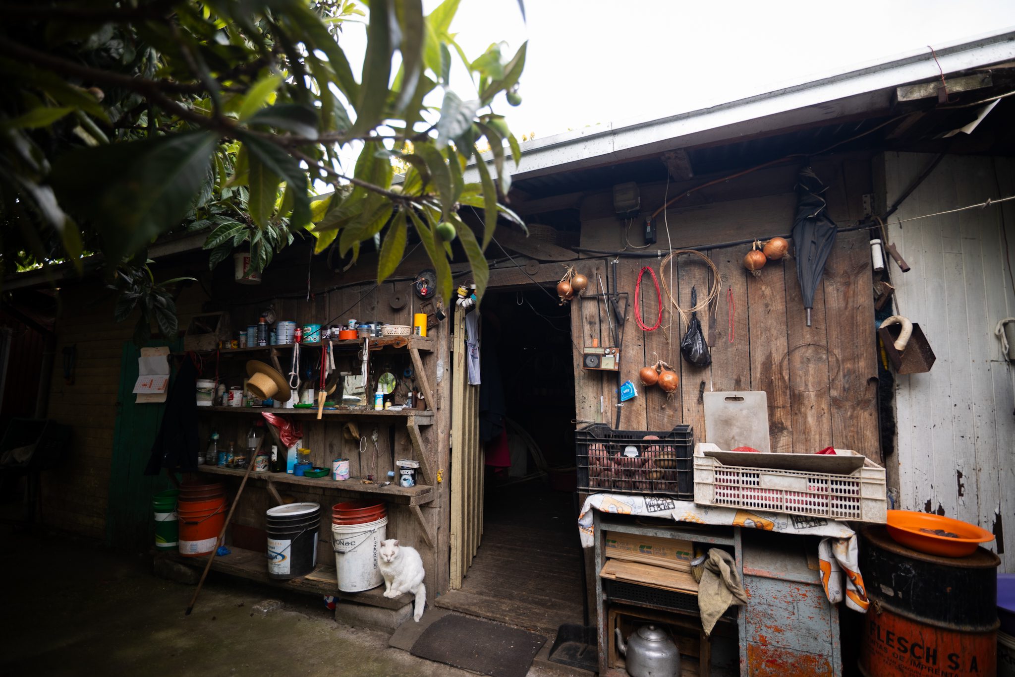 Artesanía en mimbre – Juan Pablo Núñez