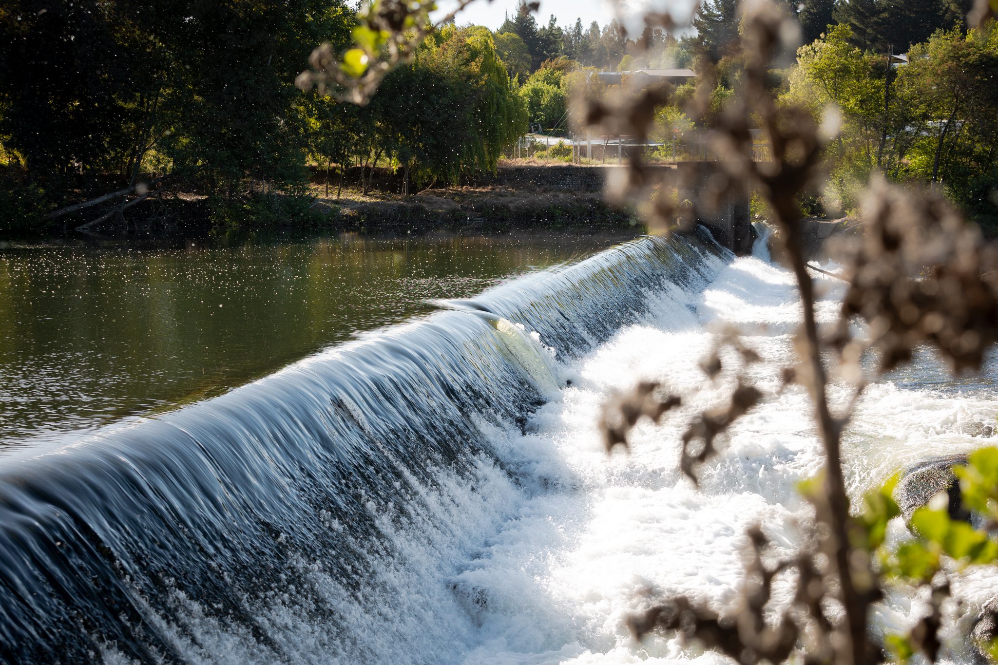 La Cascada Licura Bajo